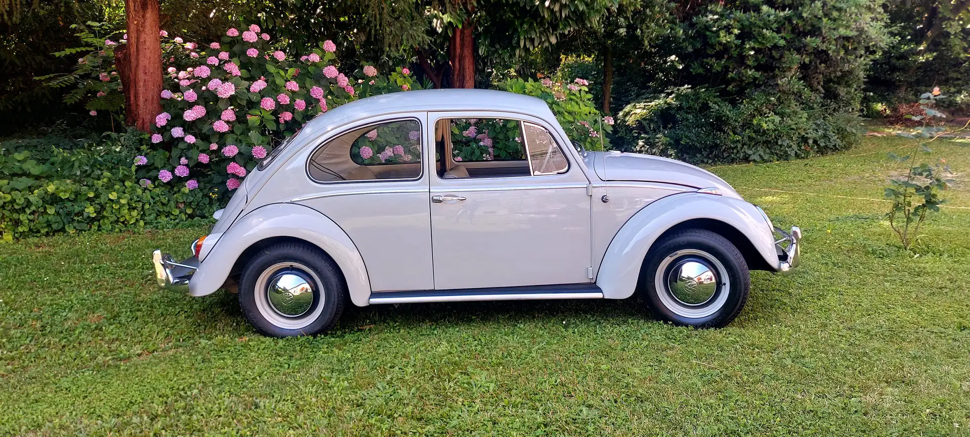 Volkswagen Maggiolino Maggiolino 11 d motore 14000 km - 2