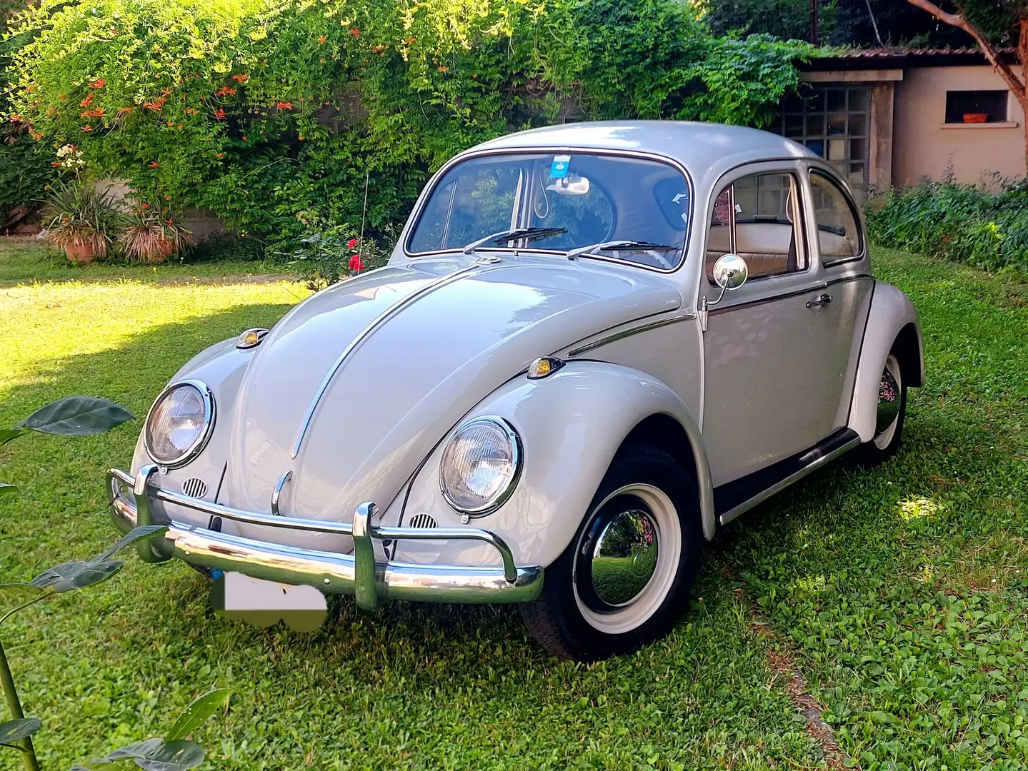 Volkswagen Maggiolino Maggiolino 11 d motore 14000 km - 1