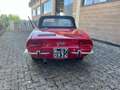 Fiat 850 Sport Spider Rot - thumbnail 3