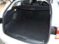 Peugeot 308 SW Style PANO KLIMA SH Blanc - thumbnail 7