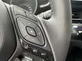 Toyota C-HR C-LUB Bi-Tone + Navi + Visibil Grau - thumbnail 14