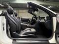 Mercedes-Benz C 63 AMG Cabrio Premium Plus Pack Facelift/Memory/Camera Wit - thumbnail 30