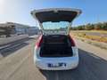 Fiat Punto 1.4 8V 5 porte Easypower Street AUTOVETTURA Bianco - thumbnail 7