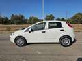 Fiat Punto 1.4 8V 5 porte Easypower Street AUTOVETTURA Bianco - thumbnail 10