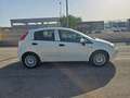 Fiat Punto 1.4 8V 5 porte Easypower Street AUTOVETTURA Bianco - thumbnail 4