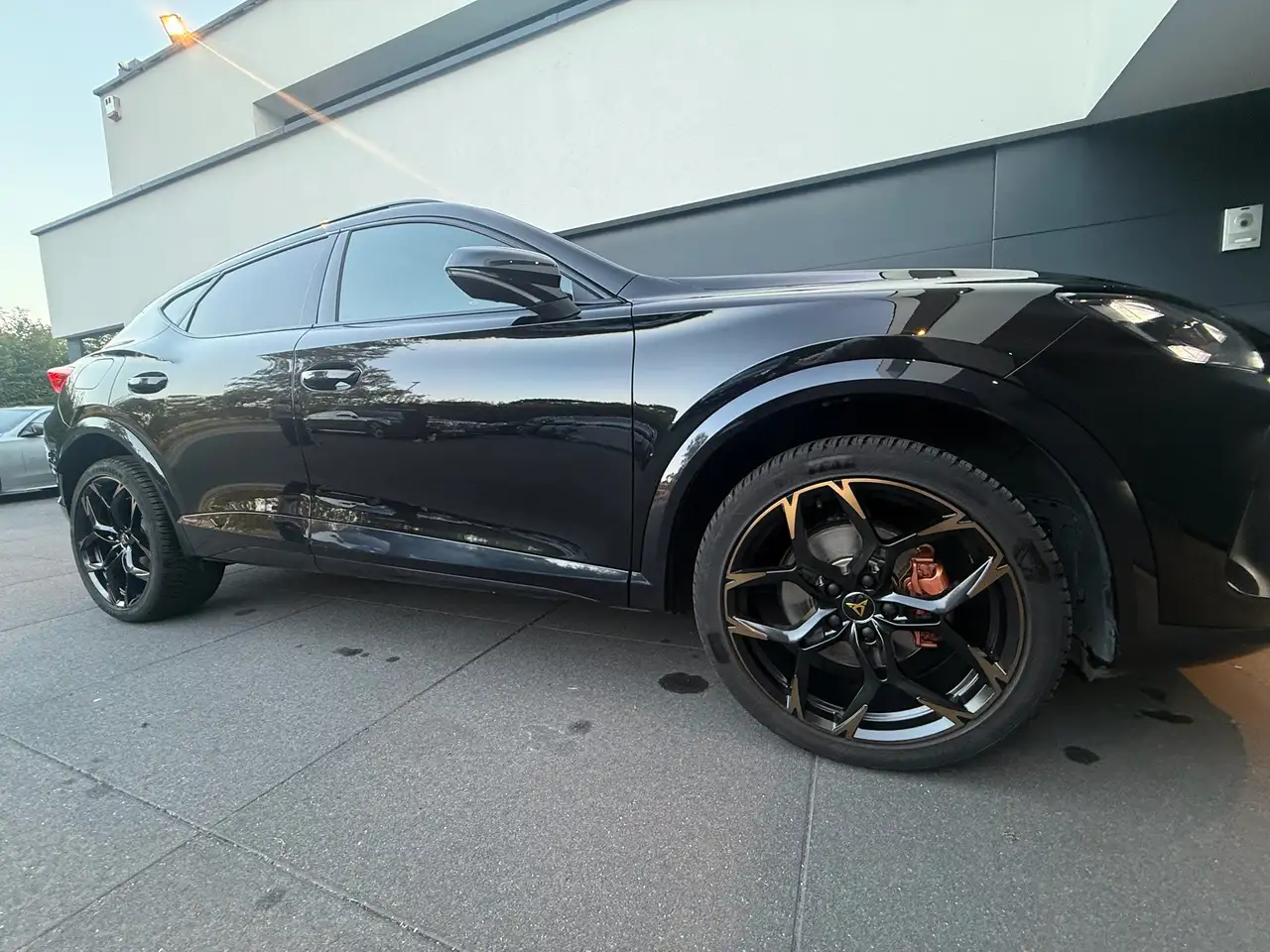 Cupra Formentor 1.5 eTSI MHEV Business DSG, миниатюра 11
