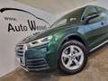 Audi Q5 35 TDI sport DSG LED VIC Leder Panorama Navi Grün - thumbnail 18