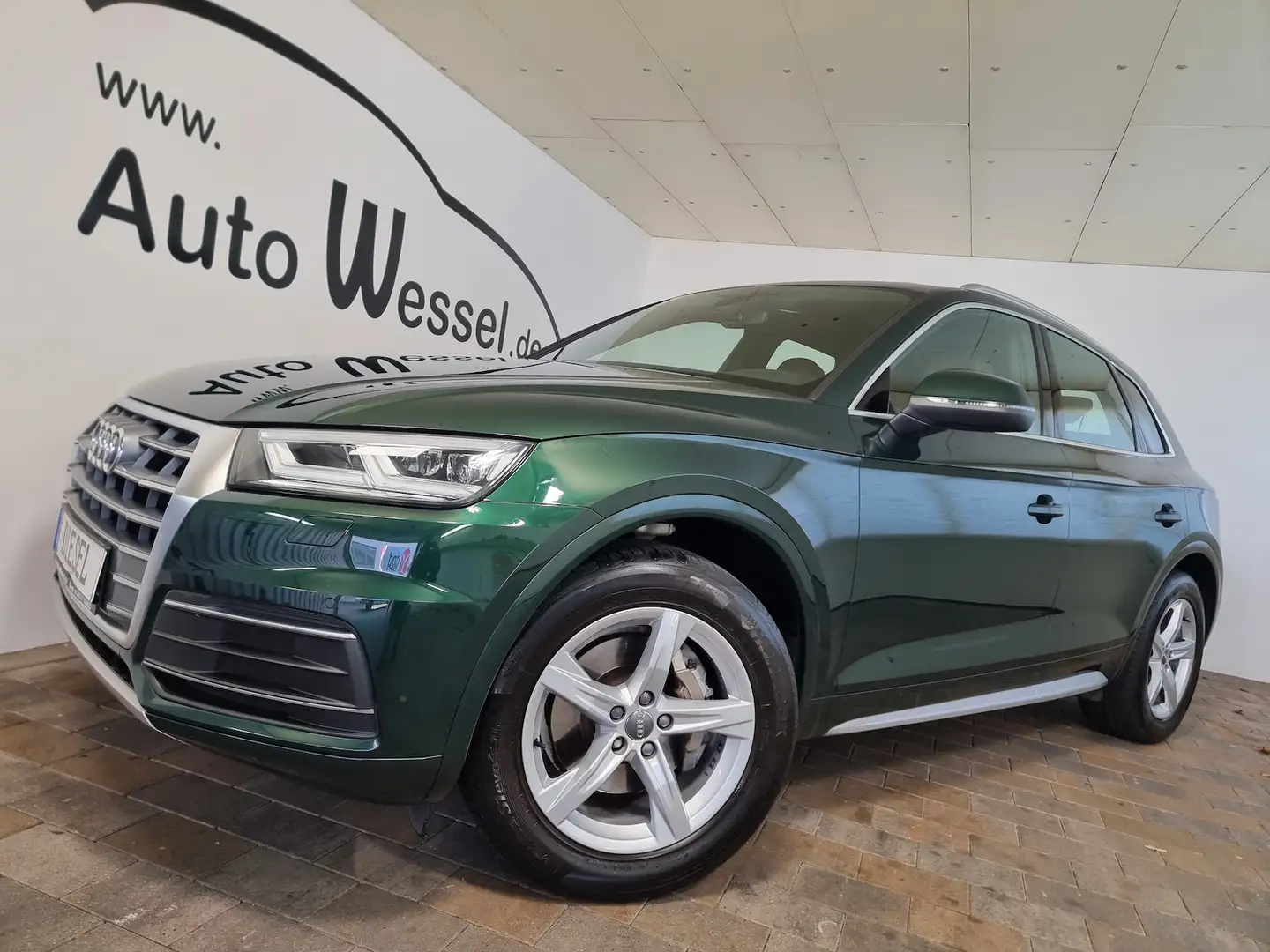 Audi Q5 35 TDI sport DSG LED VIC Leder Panorama Navi Grün - 1