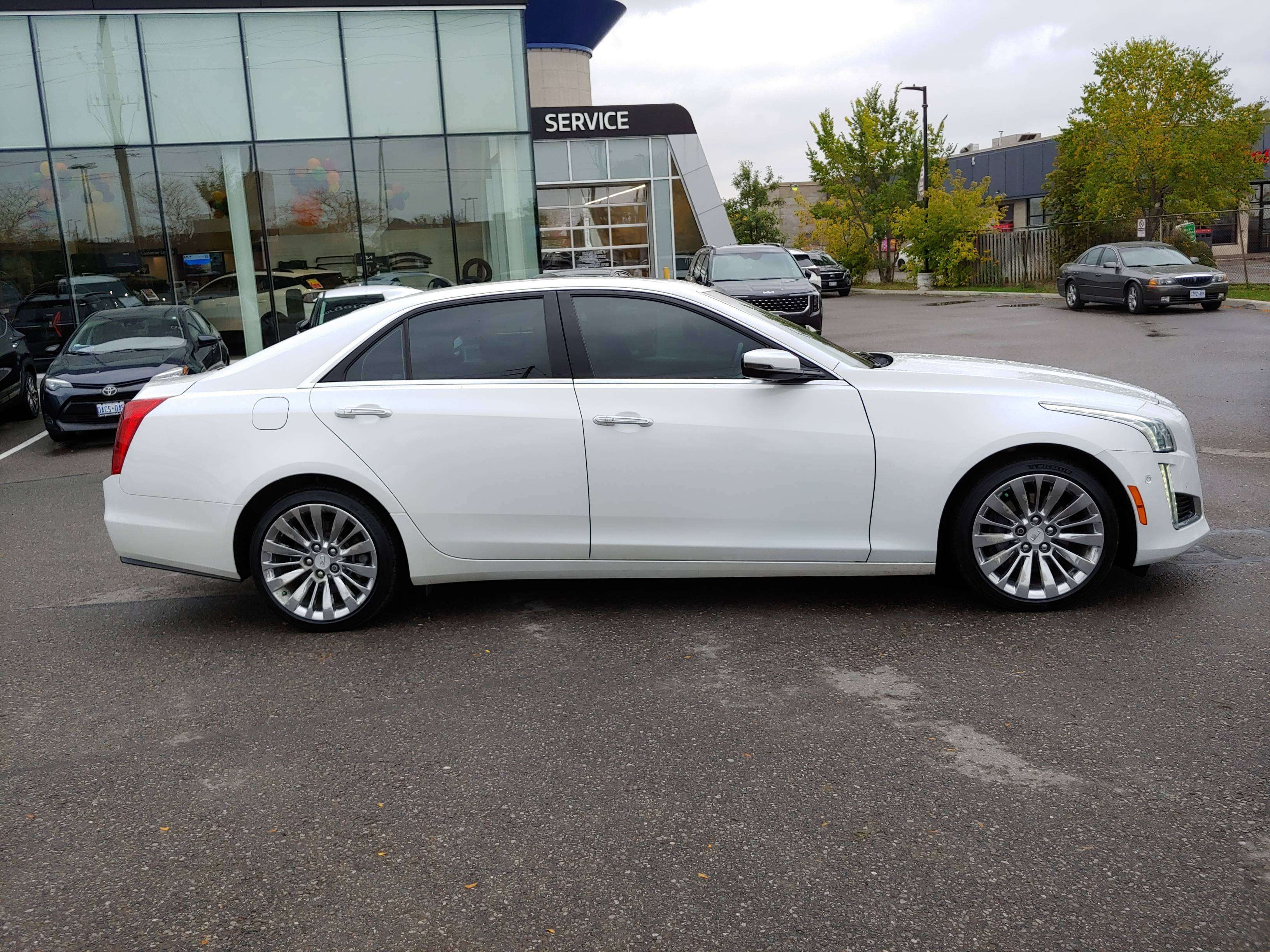 Image 8
