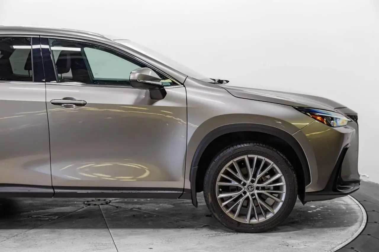 Lexus NX fotografie Lexus NX