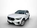 Volvo XC40 B3 163 PS Aut. Core Licht Paket Assistenz Paket, A Weiß - thumbnail 1