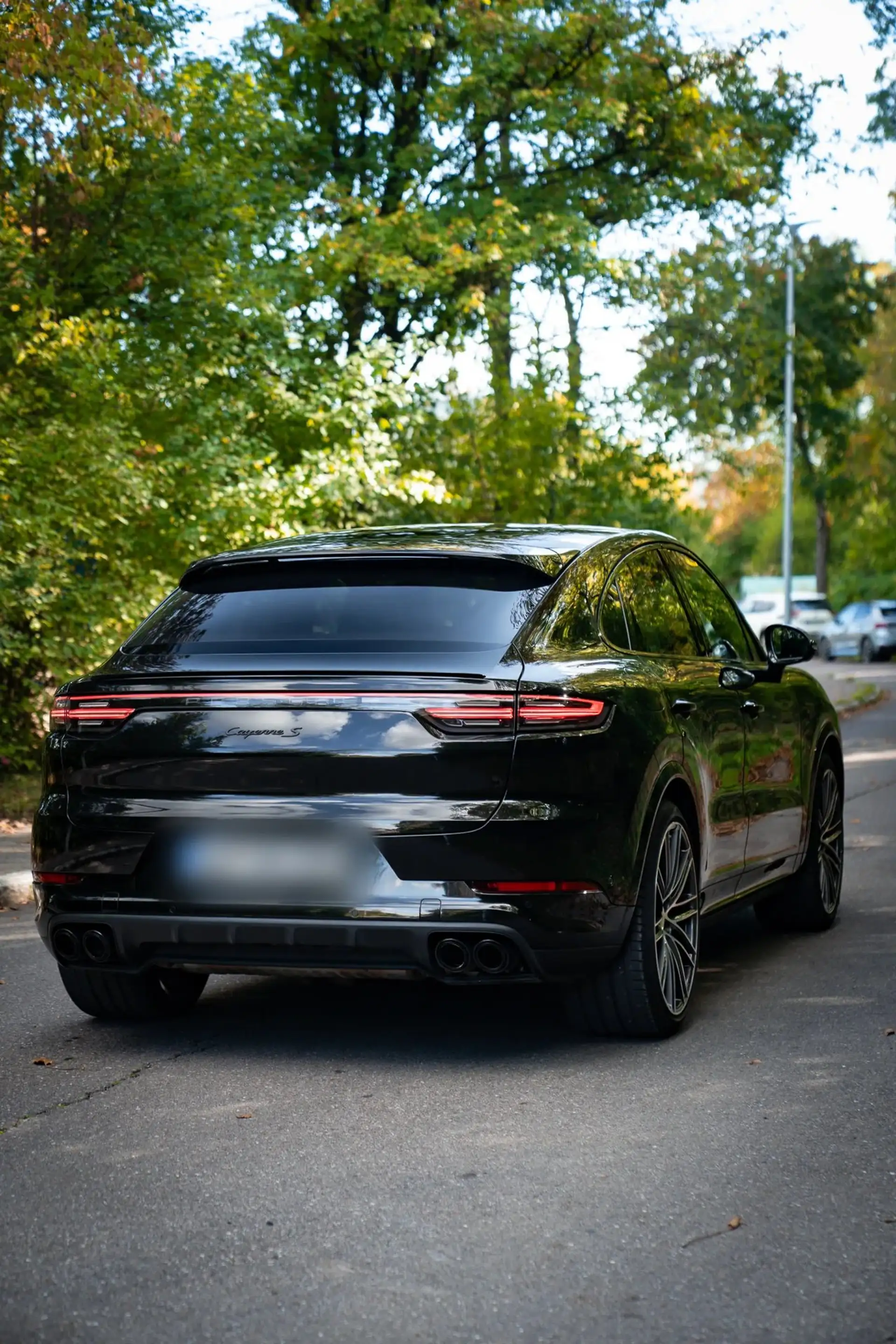 Porsche Cayenne S Coupé Platinum Edition · 440 PS · Luftfederung · Hinterachslenkung · Head-Up · 22 Zoll — photo 7