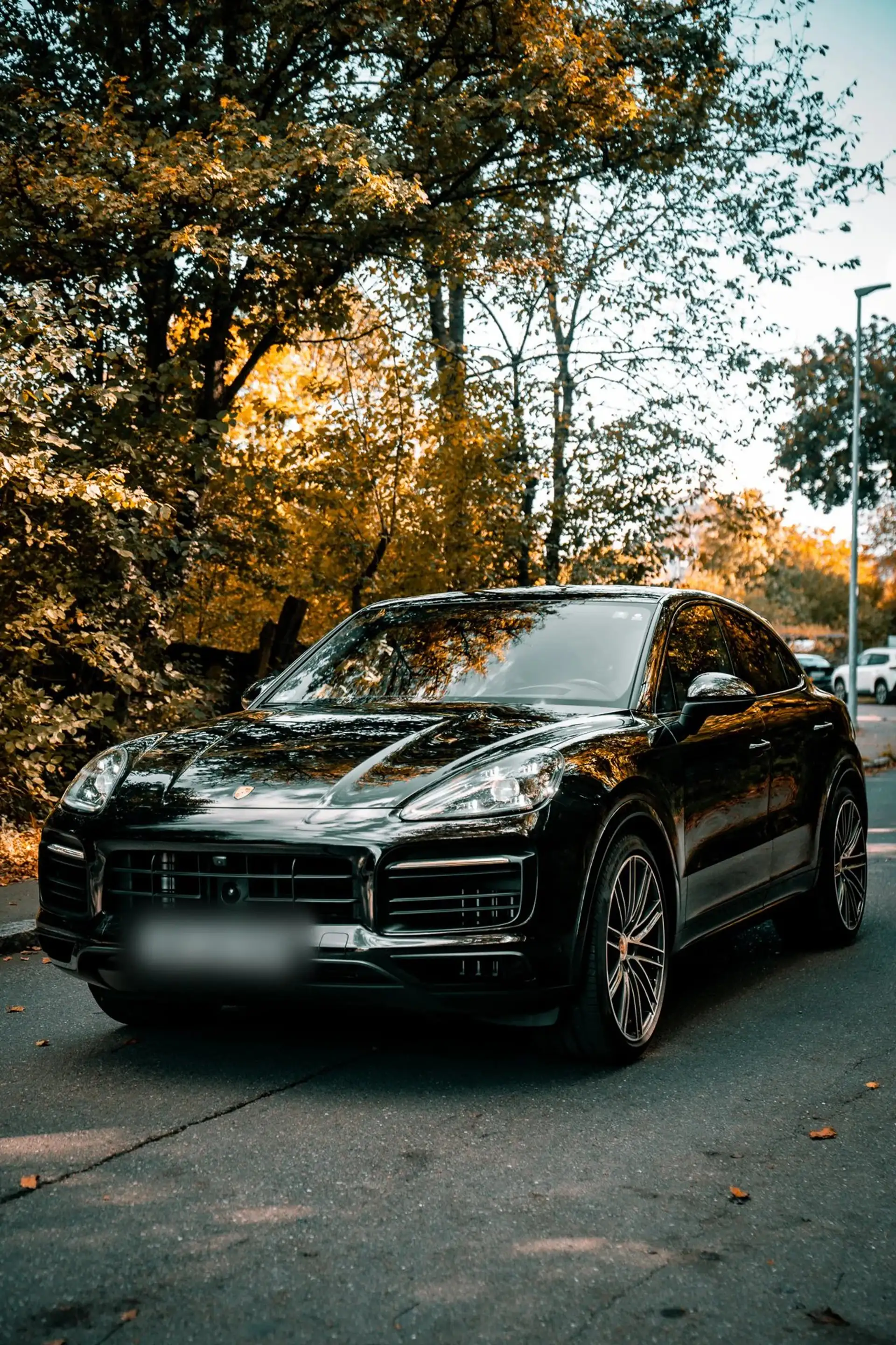 Porsche Cayenne S Coupé Platinum Edition · 440 PS · Luftfederung · Hinterachslenkung · Head-Up · 22 Zoll — photo 8