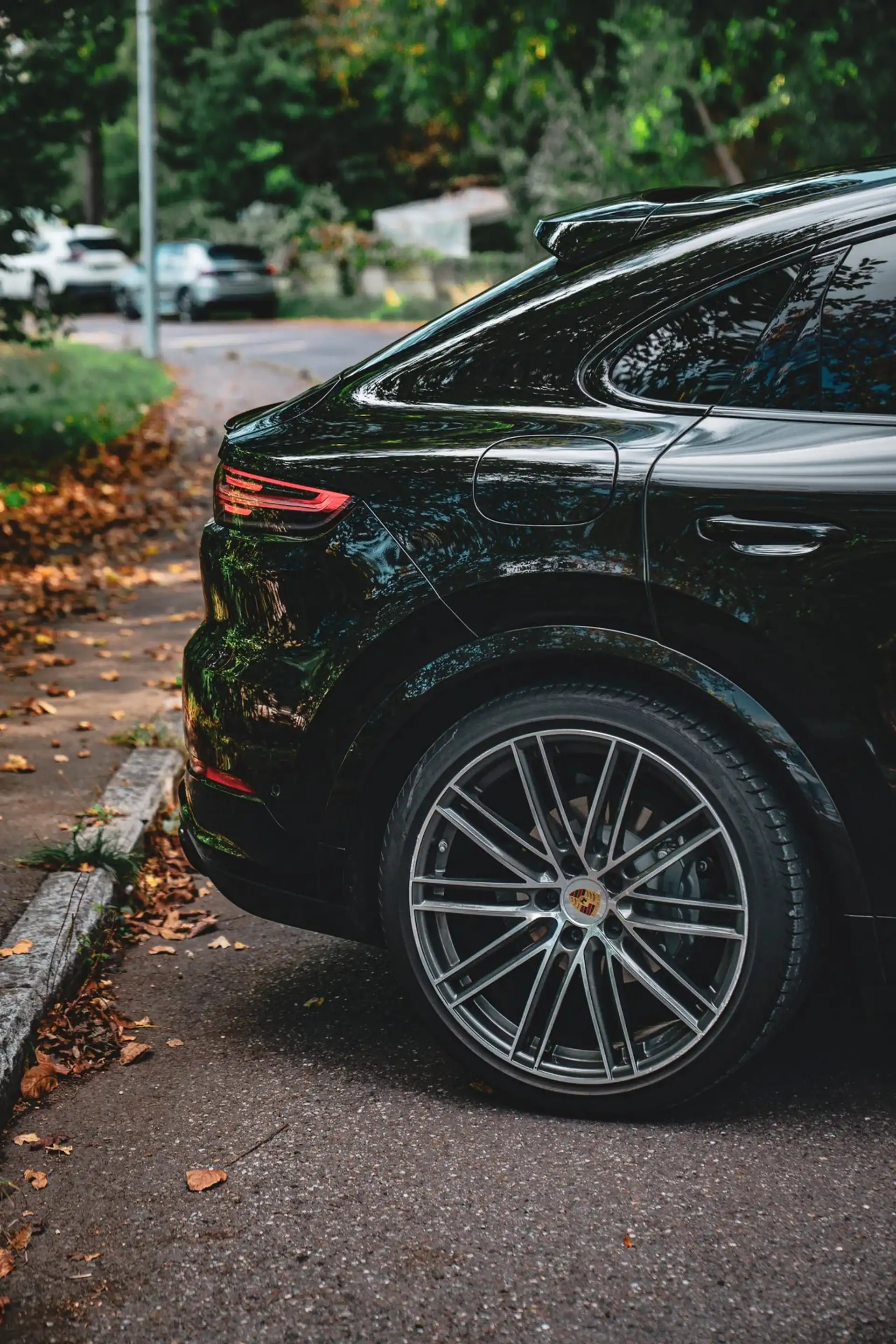 Porsche Cayenne S Coupé Platinum Edition · 440 PS · Luftfederung · Hinterachslenkung · Head-Up · 22 Zoll — photo 11