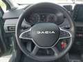 Dacia Sandero Stepway Expression TCe 90 CVT Grün - thumbnail 13