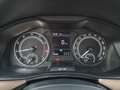 Skoda Kamiq 1.0 g-tec Style 90cv Grigio - thumbnail 11