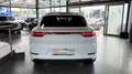 Porsche Cayenne Coupe S Pano*Sport-Design*SAGA*360*Bose Weiß - thumbnail 6