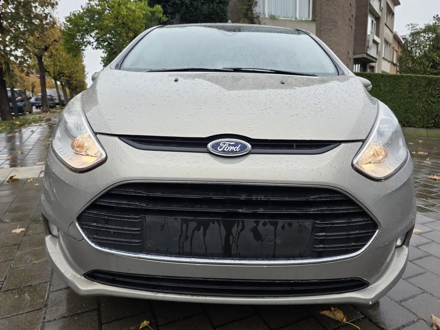 Ford B-Max B-Max 1.6i Ti-VCT Champions Edition PowerShift Beige - 1