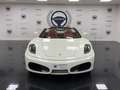 Ferrari F430 Spider F1 Blanc - thumbnail 7