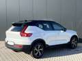 Volvo XC40 T2 R-Design | Adaptieve Cruise Control | Harman Ka Wit - thumbnail 4