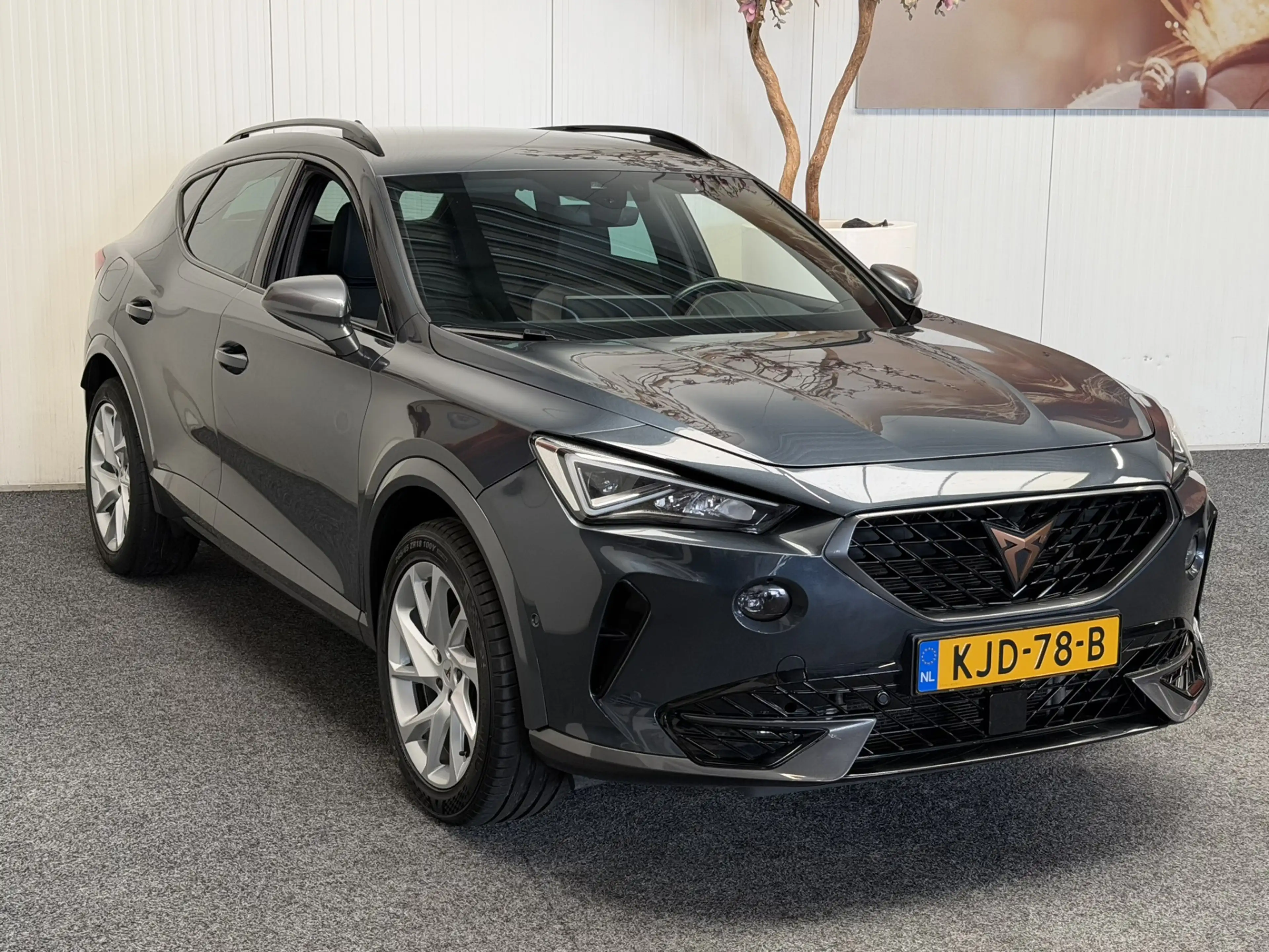 CUPRA Formentor 1.4 E-HYBRID BUSINESS NAVIGATIE ADAPTIVE CRUISE CO — photo 2