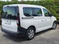 Volkswagen Caddy 2.0 TDI 7-Sitzer Erstbesitz DAB 2-Schiebetüren Weiß - thumbnail 4