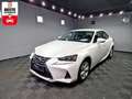 Lexus IS 300 h Privilege |AUTOM|LEDER|LED|R-KAMERA|LM FELGEN Blanco - thumbnail 1