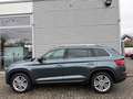 Skoda Kodiaq Style 4x4 Leder AHK Canton Memory Szary - thumbnail 7