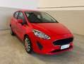 Ford Fiesta Fiesta VII 2017 5p 1.1 Plus 85cv GPL Rouge - thumbnail 2
