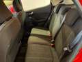 Ford Fiesta Fiesta VII 2017 5p 1.1 Plus 85cv GPL Rouge - thumbnail 6