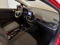 Ford Fiesta Fiesta VII 2017 5p 1.1 Plus 85cv GPL Rouge - thumbnail 7