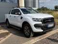 Ford Ranger Wildtrak Doppelkabine 4x4 Weiß - thumbnail 3