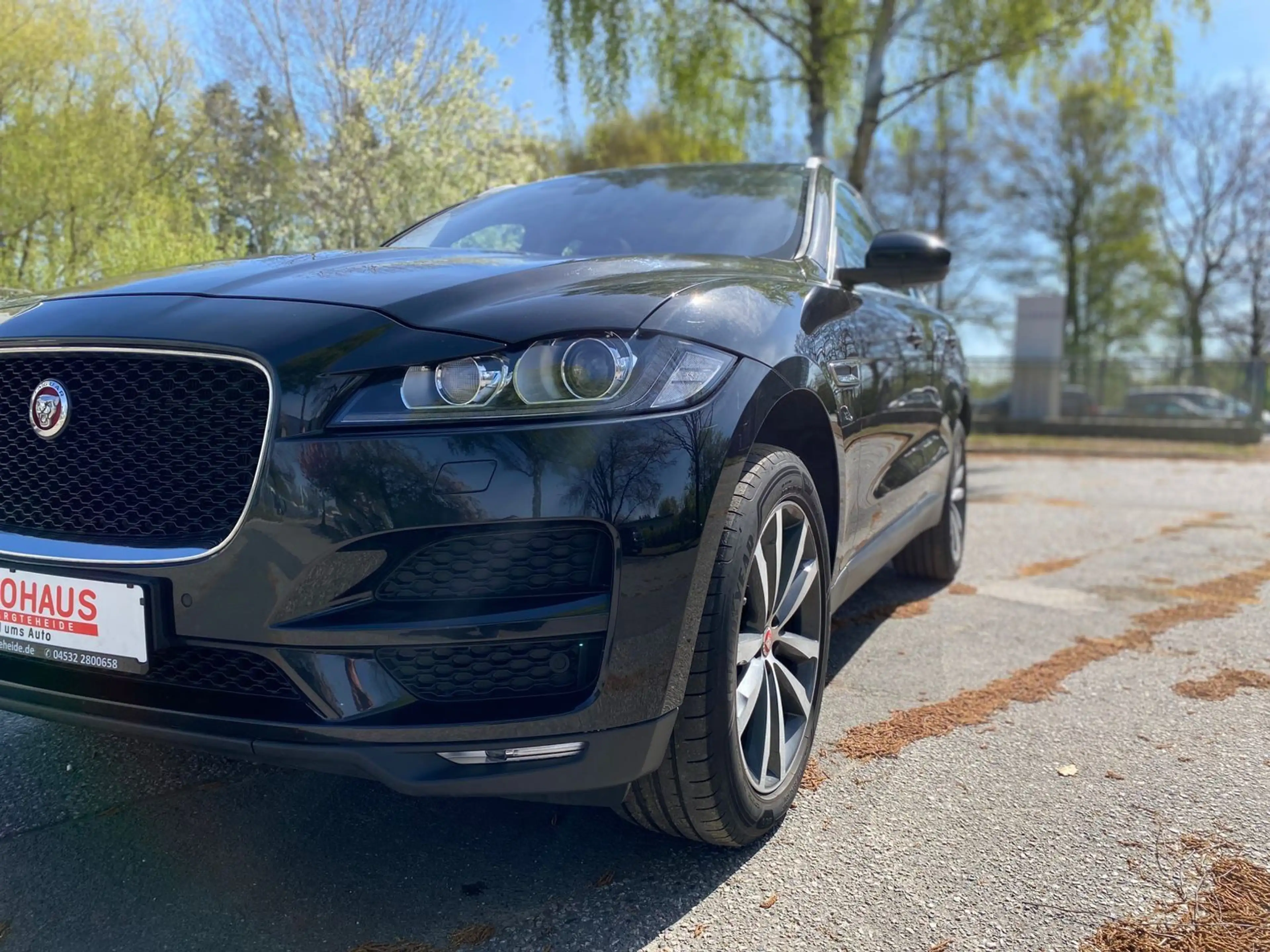 Jaguar F-Pace F-PACE Portfolio AWD*KEYLESS*MEMORY*LEDER — photo 3