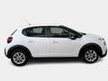 Citroen C3 BlueHDi 100 S&S Feel Van 5 PORTE AUTOCARRO - thumbnail 3