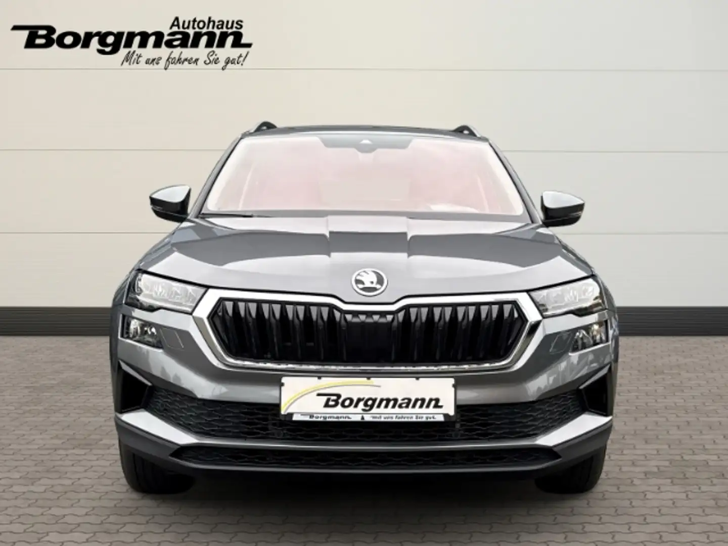 Skoda Karoq Tour 1,5 TSI 110kW DSG Navi digitales Cockpit LED Grigio - 2