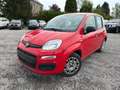 Fiat Panda 1.3 mulitjet Rojo - thumbnail 2
