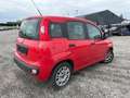 Fiat Panda 1.3 mulitjet Czerwony - thumbnail 4