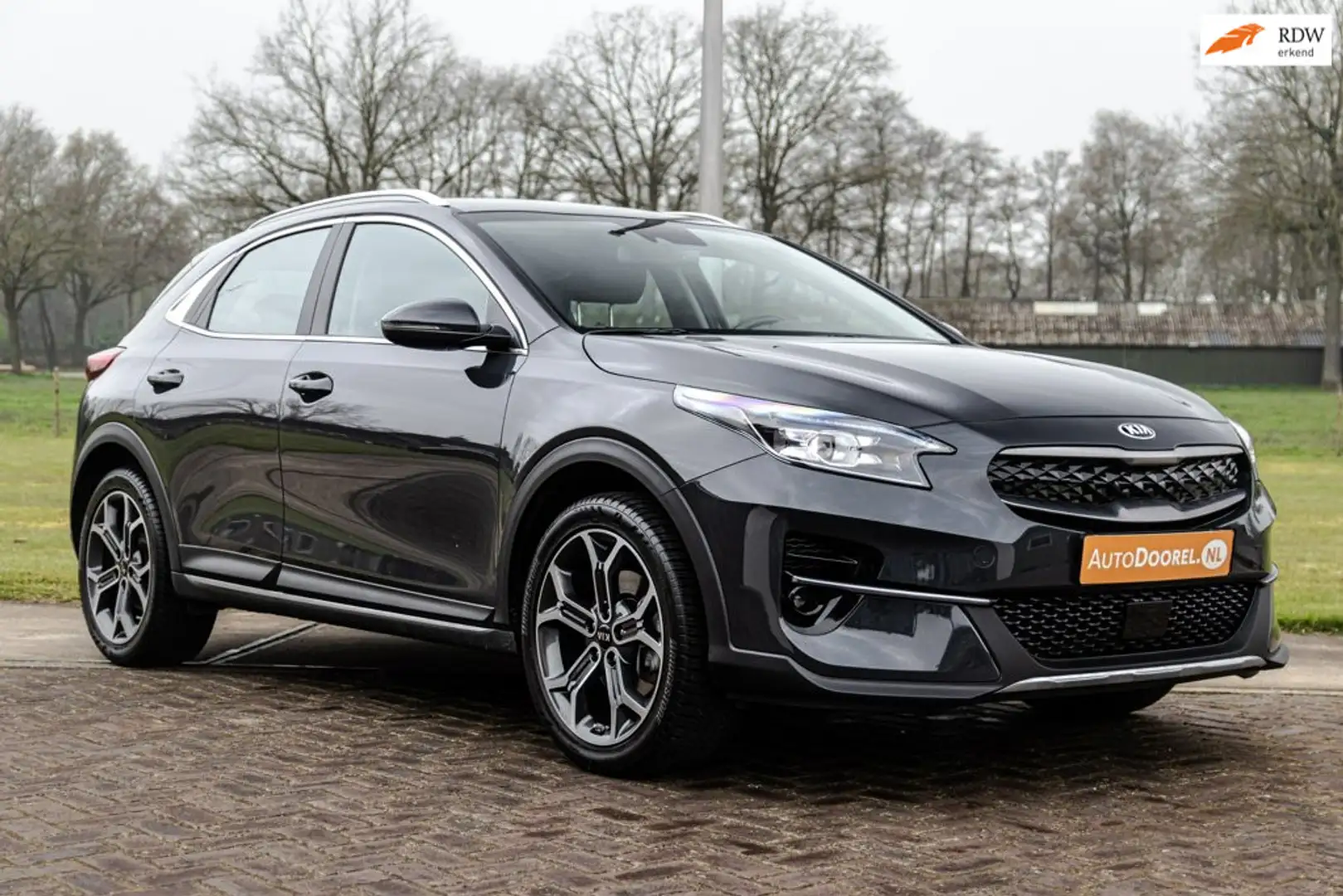 kia xceed