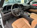 Cadillac Escalade 6.2 V8 Premium Luxury Night Vision Blanc - thumbnail 14