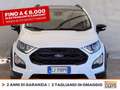 Ford EcoSport 1.0 ecoboost active s&s 125cv Blanc - thumbnail 3