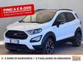 Ford EcoSport 1.0 ecoboost active s&s 125cv Blanc - thumbnail 1