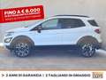 Ford EcoSport 1.0 ecoboost active s&s 125cv Blanc - thumbnail 4