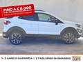 Ford EcoSport 1.0 ecoboost active s&s 125cv Blanc - thumbnail 6