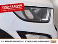 Ford EcoSport 1.0 ecoboost active s&s 125cv Blanc - thumbnail 14