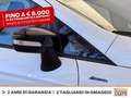 Ford EcoSport 1.0 ecoboost active s&s 125cv Blanc - thumbnail 16