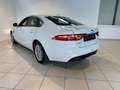 Jaguar XF 2ª serie (X260) 2.0 D 163 CV Pure - thumbnail 4