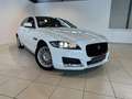 Jaguar XF 2ª serie (X260) 2.0 D 163 CV Pure - thumbnail 1