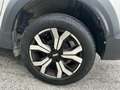 Dacia Jogger 1.0 TCe GPL 100 CV 5 posti Extreme Argent - thumbnail 25