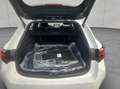 Toyota Corolla 2.0 Hybrid Touring Sports Teamplayer Wit - thumbnail 4