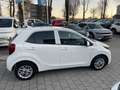 Kia Picanto 1.0 Vision Facelift Kam. KlimaA LM Navi Weiß - thumbnail 4